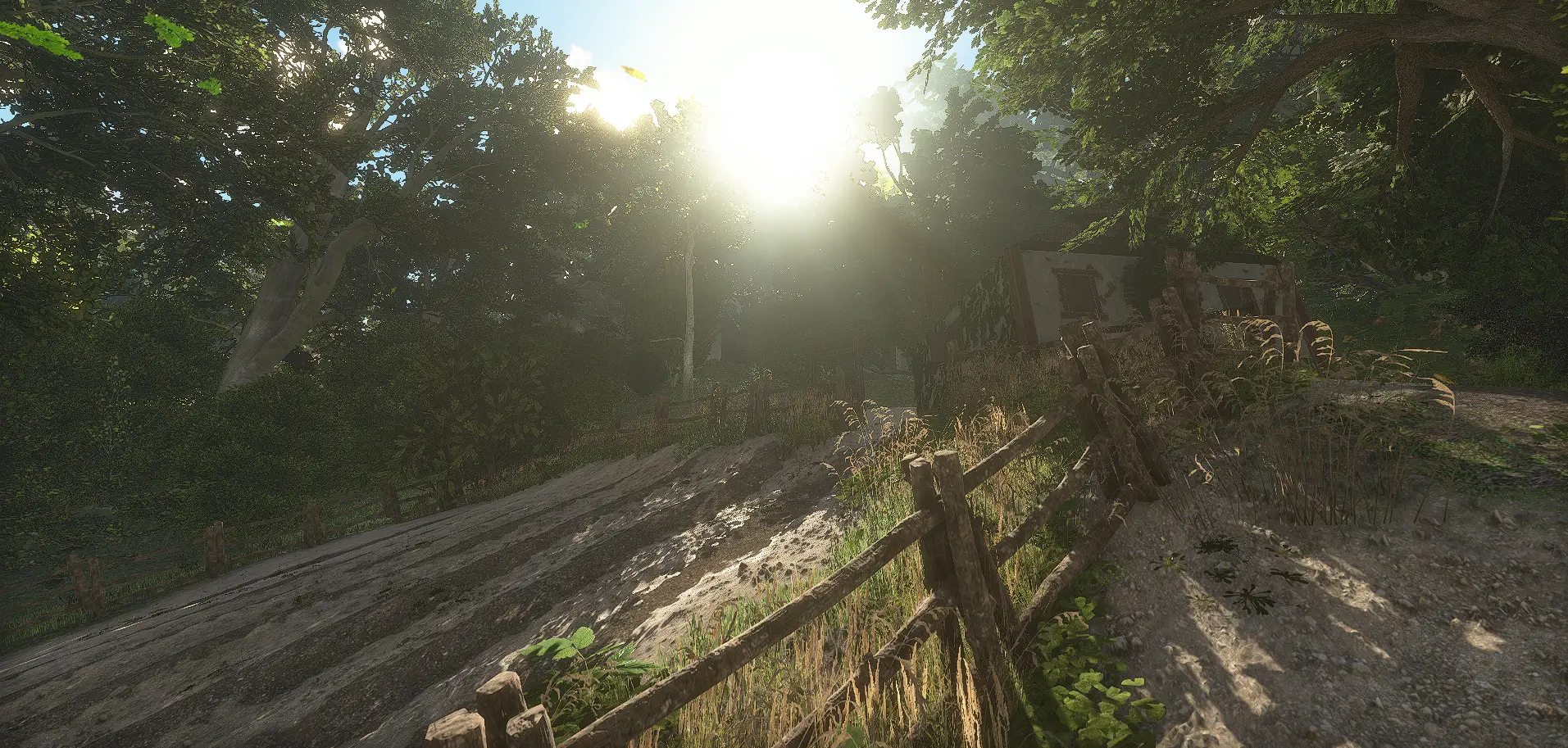 Low sun burning through the trees over a rutted dirt road and wooden fence in Grimblade